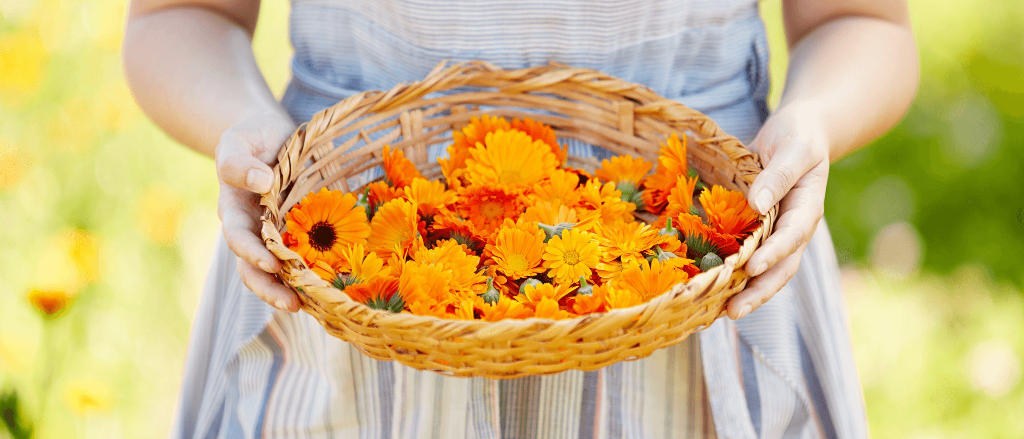 WHAT IS SLOW FARMED BEAUTY?